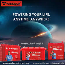 Winsor Battery Collection